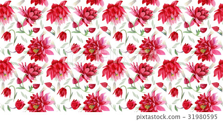 Wildflower Aquilegia flower in a watercolor style 31980595