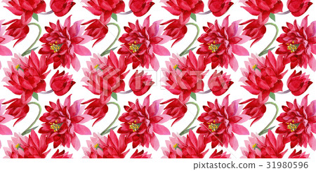 Wildflower Aquilegia flower in a watercolor style Wildflower Aquilegia flower in a watercolor style 31980596