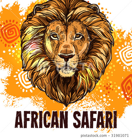 African lion poster safari hunting vector poster African lion poster safari hunting vector poster 31981071