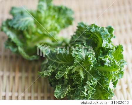 Petite veil green yellow vegetable Petite veil green yellow vegetable 31982043