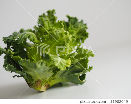 Petite veil green yellow vegetable Petite veil green yellow vegetable 31982049