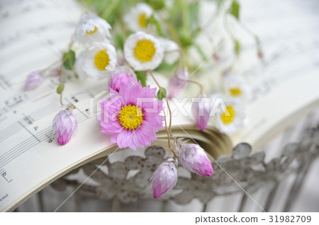 Sheet music Rodançe Sheet music and flowers Sheet music Rodançe Sheet music and flowers 31982709