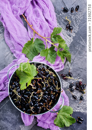 black currant black currant 31982758