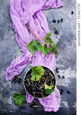 black currant black currant 31982759
