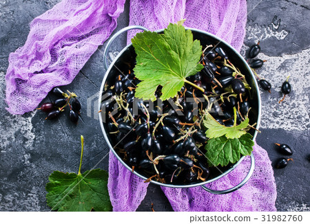 black currant 31982760