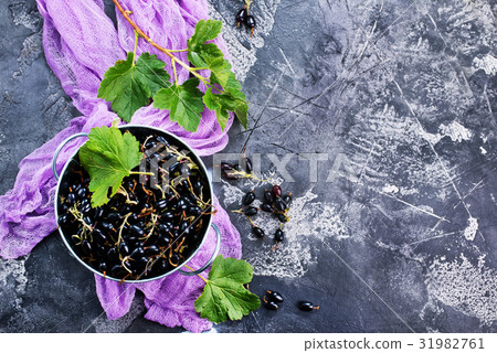 black currant black currant 31982761