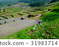 Rice terraced rice fields on the Oniki and scarecrows Rice terraced rice fields on the Oniki and scarecrows 31983714