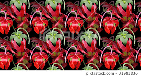 Wildflower Sarracenia flower in a watercolor 31983830