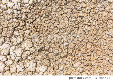 The cracked ground 31984577