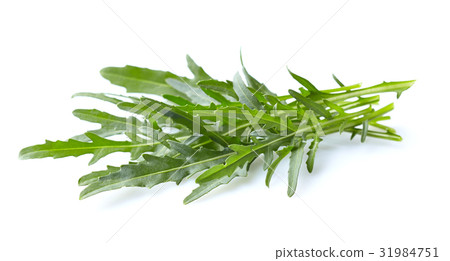 Arugula leaves 31984751