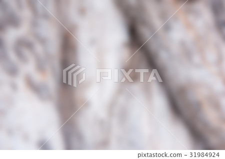 Tree bark texture blur 31984924