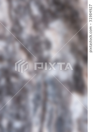 Tree bark texture blur 31984927