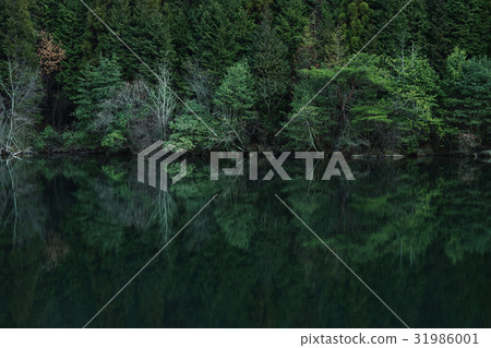 廣島縣府中市Nanatsuke第三池 31986001