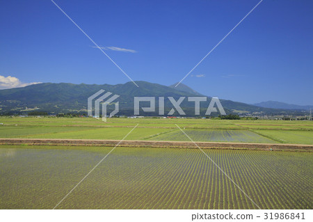 鄉村景觀 31986841