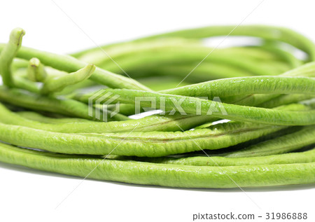Bunch of fresh long bean 31986888