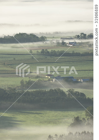 A rural town wrapped in a morning mist (Hokkaido · Tokachi) A rural town wrapped in a morning mist (Hokkaido · Tokachi) 31986889