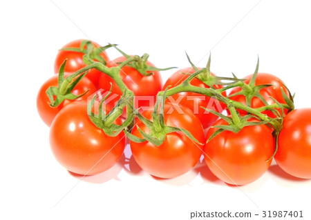 Tufted tomato 31987401