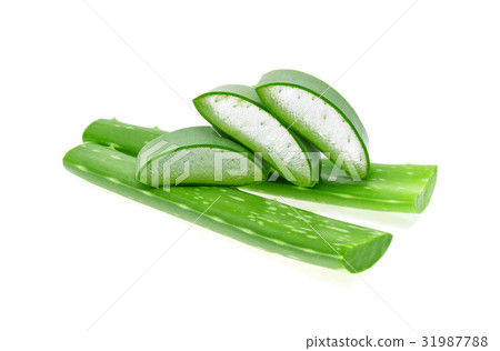 Aloe vera isolated on white background 31987788