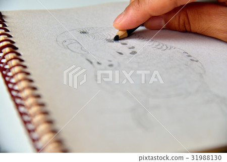 Painting sketch drawing drawing drawing pen hand picture book brush entertainment bird tiger skin parrot parrot animal cute sketch Painting sketch drawing drawing drawing pen hand picture book brush entertainment bird tiger skin parrot parrot animal cute sketch 31988130