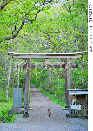 Nagano Togakushi 31988599