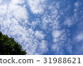 藍天 31988621