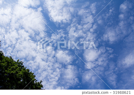 藍天 藍天 31988621