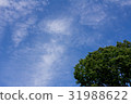 藍天 31988622