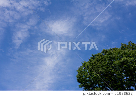 藍天 藍天 31988622