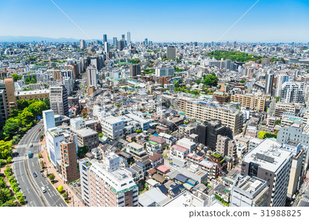東京文京區和池袋區周圍的街道 31988825