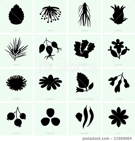 Herbal tea ingredients 31989064