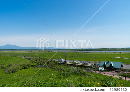 Koshimizu主要花園車站大廈風景 31989580