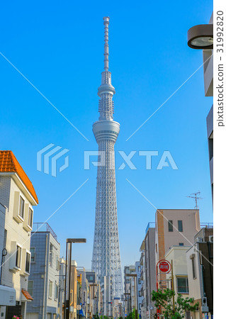 清晨天空樹 31992820