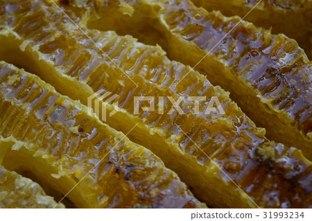 天然蜂蜜（森林寶藏！）材料 31993234