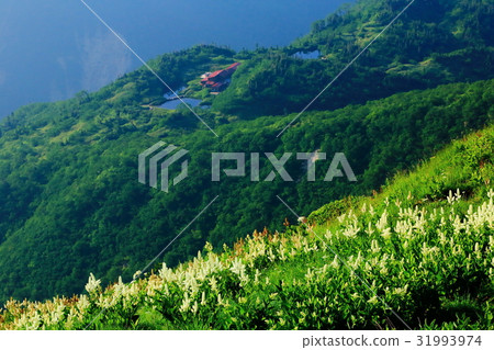 Kamiraira overlooking the North Alps · Yumogaidake ridgeline 31993974