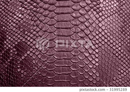 background of crocodile skin background of crocodile skin 31995289