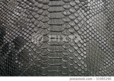 background of crocodile skin background of crocodile skin 31995290