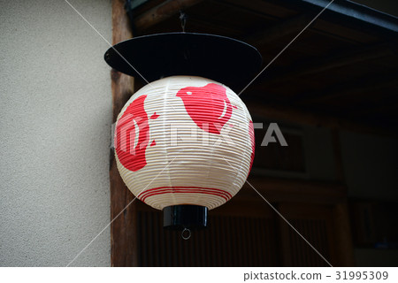 Chidori lantern in Ponto-cho -5 31995309