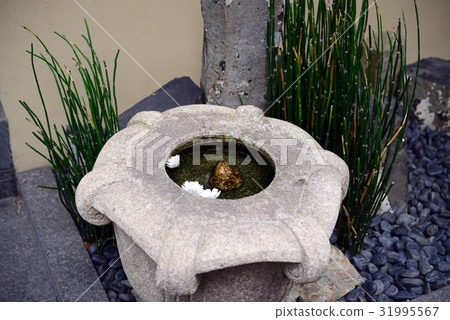 Hand bowl Hand bowl 31995567
