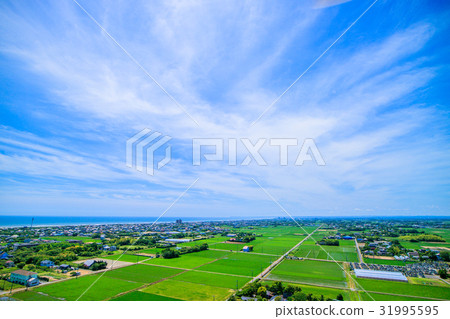 Aerial view of the Kujukuri toll road near Kijukuri Town in Oimi Shirasato City 31995595
