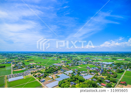Aerial view of the Kujukuri toll road near Kijukuri Town in Oimi Shirasato City 31995605
