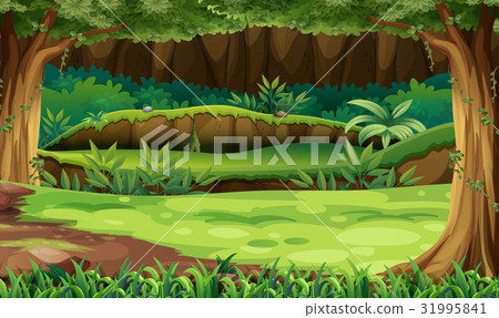 Forest scene with trees and field 31995841