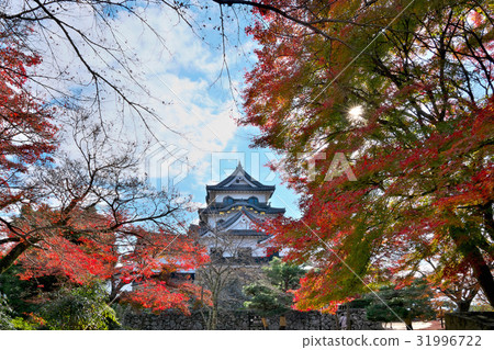 Hikone Castle of Kusumi Hikone Castle of Kusumi 31996722