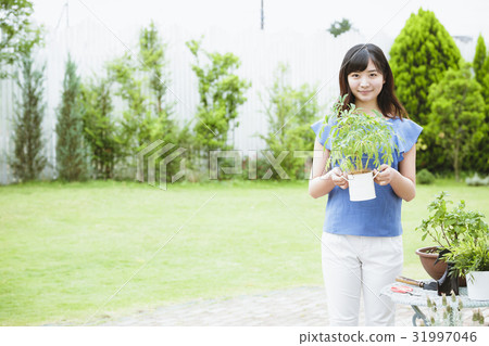 園藝形象20名女性 31997046