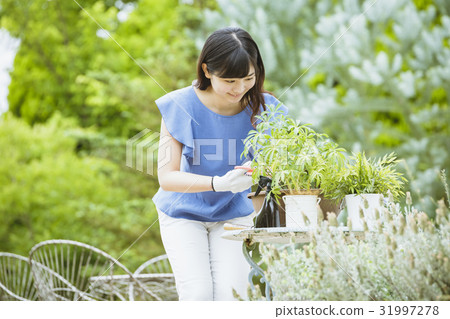 Gardening image 20's female 31997278