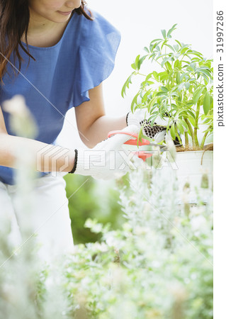 園藝形象20的女性 31997286