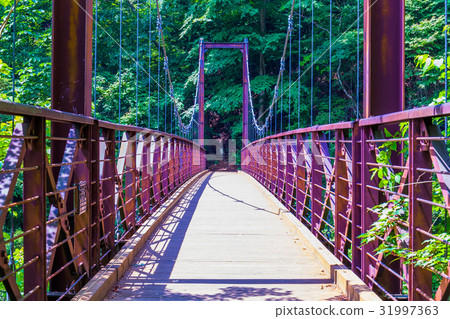 東京Mitsuzuyama Takimi Bridge（Tominaga no Mori） 31997363