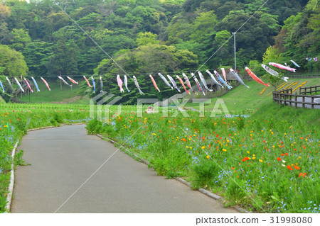 橫須賀·久里濱花國 橫須賀·久里濱花國 31998080