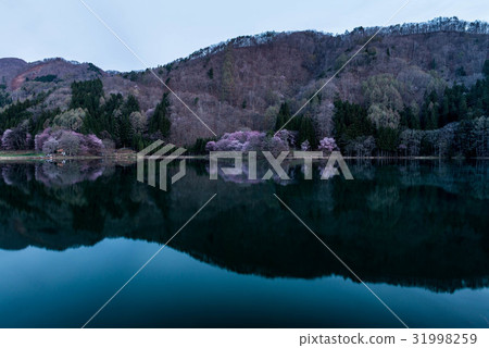 Yoh Yamazakura of Lake Nakanishi 31998259