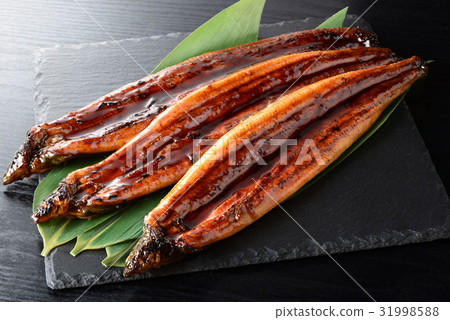 Grilled eels of eel 31998588
