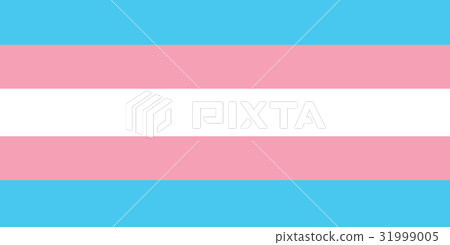 transgender flag transgender flag 31999005